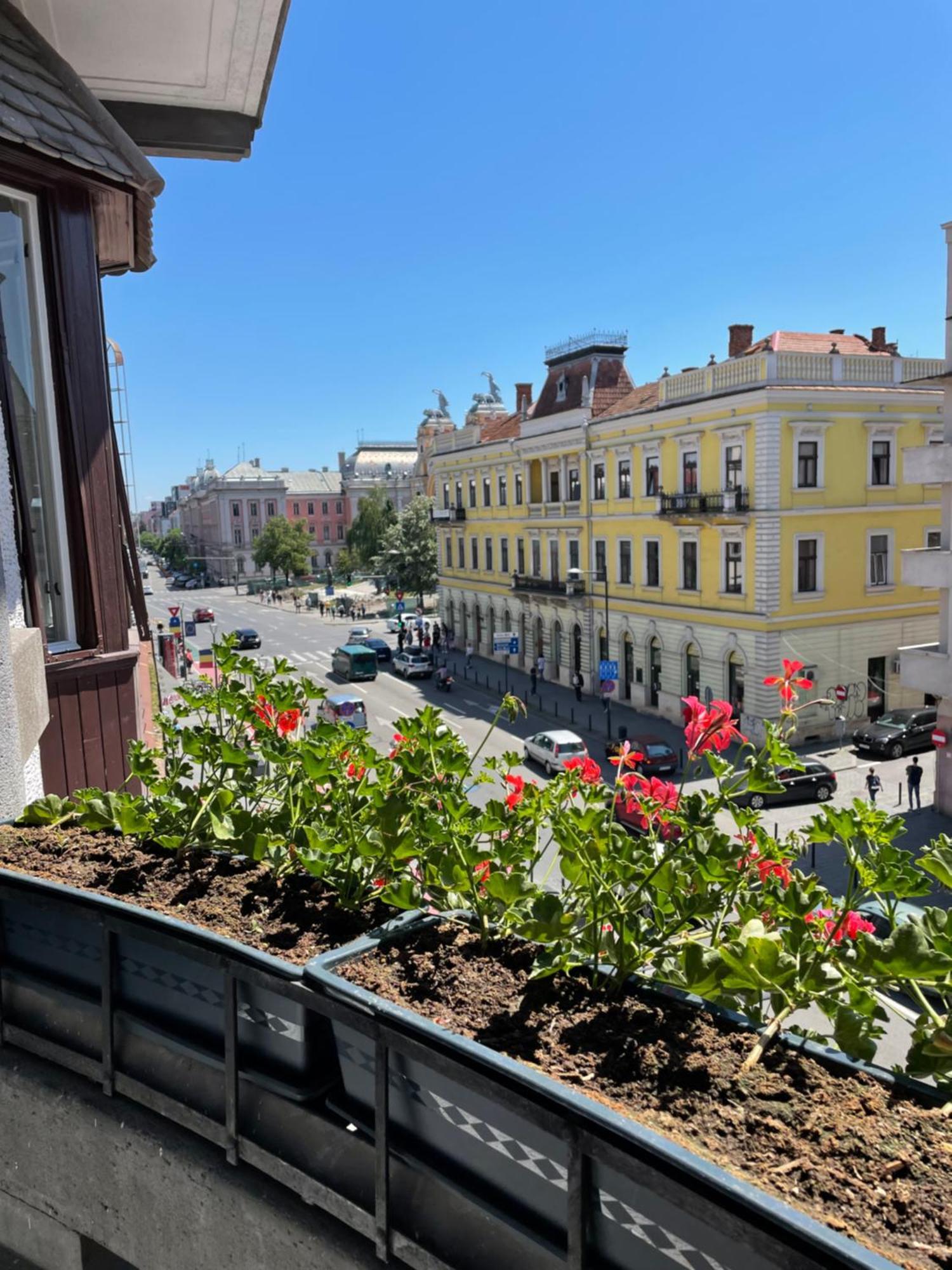 Littleparis Daire Kaloşvar Dış mekan fotoğraf